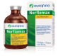 Norflomax 