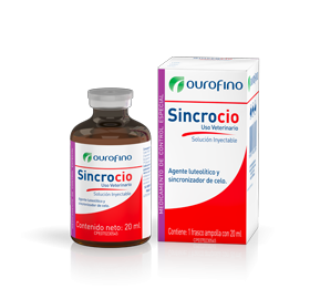 Sincrocio®