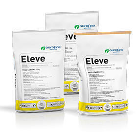 Eleve