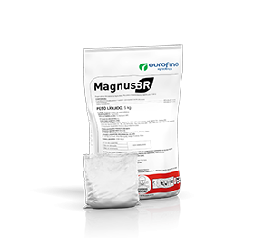 MagnusBR
