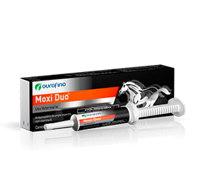 Moxi Duo